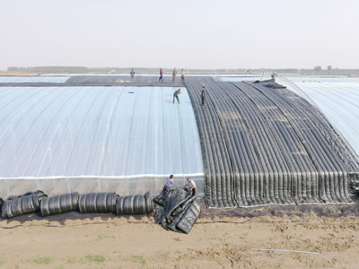 ���ﱣ�ر��͑��